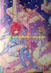 GALAXY CLEAR FILES du CHAMPION RED 06/2020